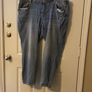 Lot of Lane Bryant jeans
